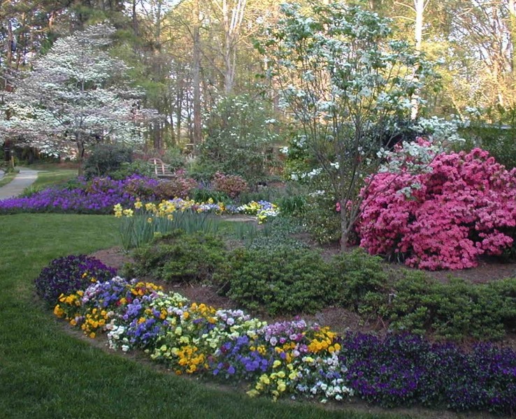 drifts of flowers